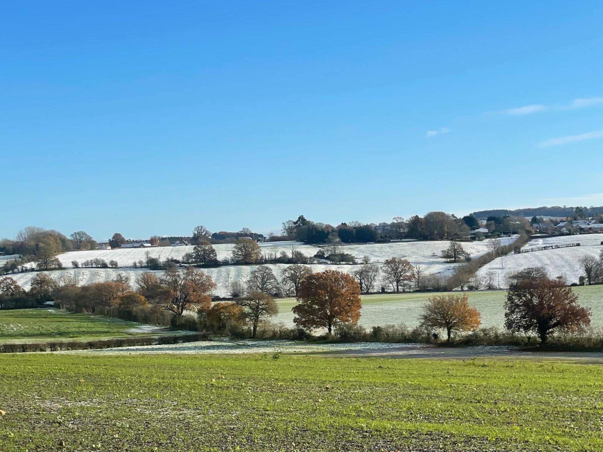 Bank Cottage Studio - Luxury Cotswolds Haven For Two Shipston-on-Stour Exterior foto